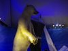 Muzeum Statku Polarnego Fram w Oslo